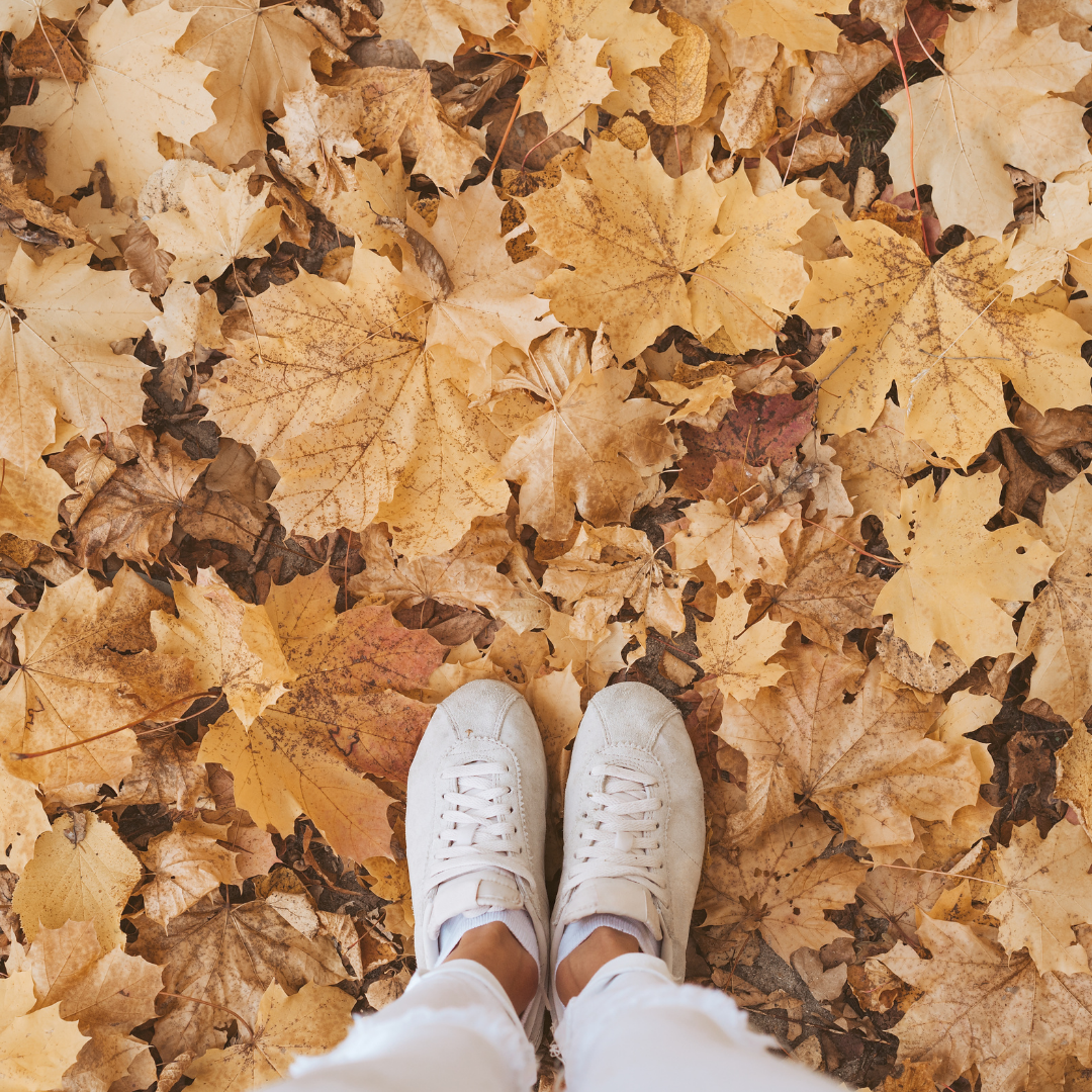 How to appreciate Irish Autumn in ways you couldn't last year
